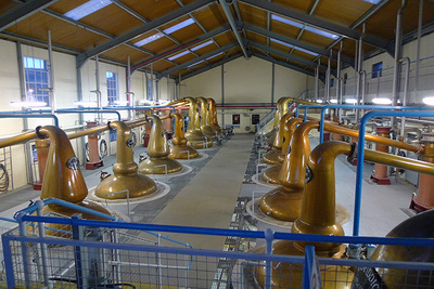 Glenfiddich - Brennblasen Glenfiddich - Brennblasen